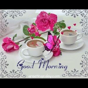 Meet your Posher, Bright